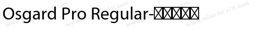 Osgard Pro Regular字体转换